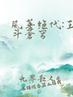 风华绝代:王妃斗苍穹