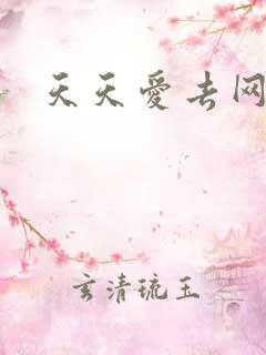 天天爱去网