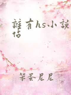 谁有hs小说网站