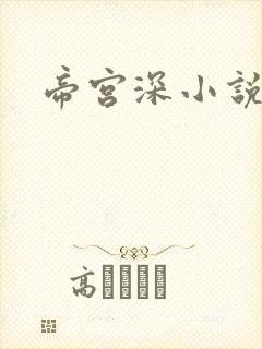 帝宫深小说