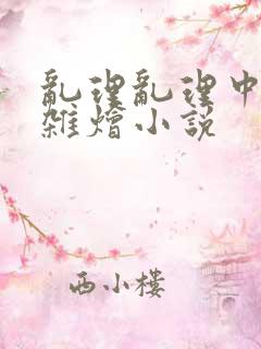 乱理乱理中文大杂烩小说