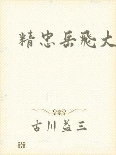 精忠岳飞大结局