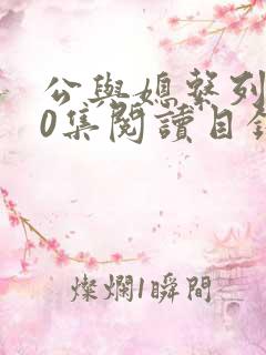 公与媳系列100集阅读目录小说