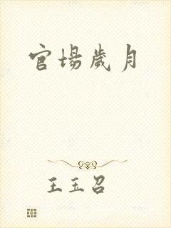 官场岁月