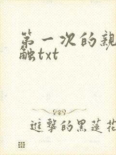 第一次的亲密接触txt