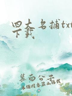 四大名捕txt下载