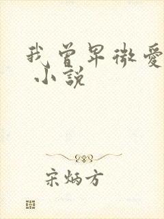 我曾卑微爱过你 小说