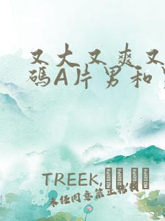 又大又爽又黄无码A片男和男