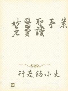 妙医圣手叶皓轩免费读