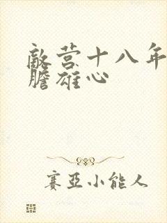 敌营十八年2虎胆雄心