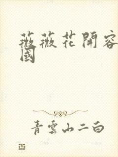 薇薇花开容颜倾国