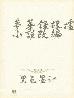 梦华录根据什么小说改编