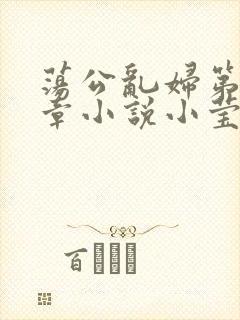 荡公乱妇第51章小说小莹