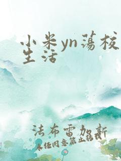 小米yn荡校园生活