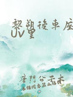 黎朔后车座上SUV里