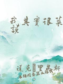 我其实很菜的小说