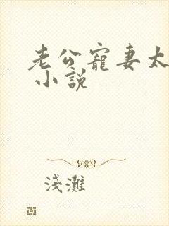 老公宠妻太甜蜜 小说