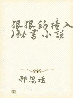 狠狠的撞入(h)秘书小说