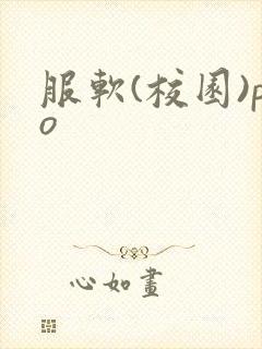 服软(校园)po