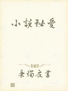 小说秘爱