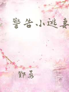 警告小逃妻