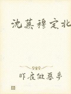 沈芜穆定北小说