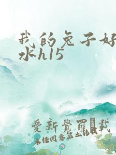 我的兔子好多软水h15