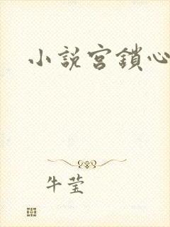 小说宫锁心玉