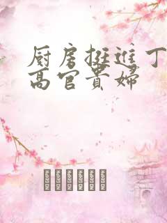 厨房挺进丁字裤高官贵妇