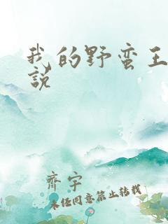 我的野蛮王妃小说