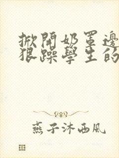 掀开奶罩边躁狠狠躁学生的小文字