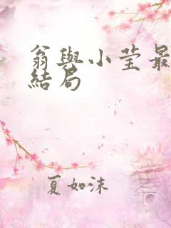 翁与小莹最新大结局