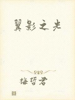 翼影之光