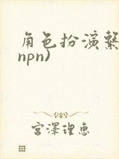 角色扮演系统(npn)