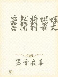 突然将蝴蝶遥控器开到最大