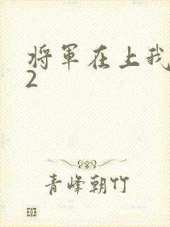 将军在上我在下2