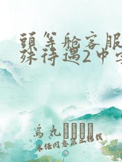 头等舱客服的特殊待遇2中字