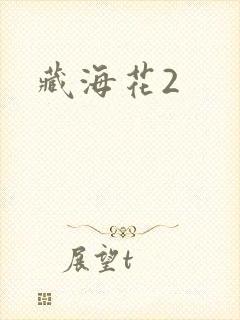 藏海花2