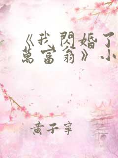 《我闪婚了个亿万富翁》小说