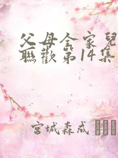 父母全家儿女大联欢第14集