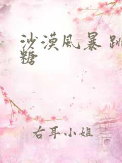 沙漠风暴 跳跳糖