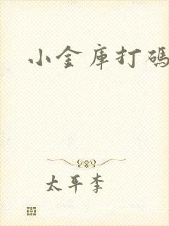 小金库打码平台