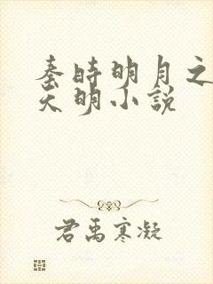 秦时明月之夜尽天明小说