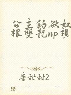 公主的欲奴h四根双龙np视频