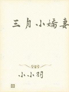 三月小娇妻