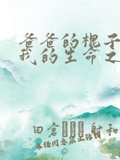 爸爸的棍子顶着我的生命之门