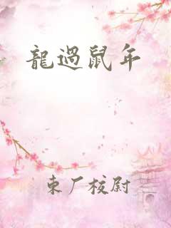 龙过鼠年