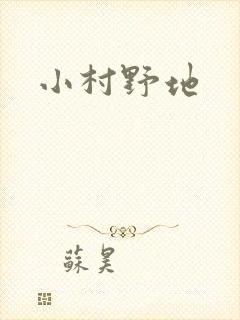 小村野地