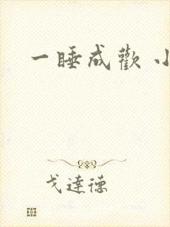 一睡成欢 小说