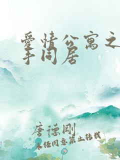 爱情公寓之与杀手同居